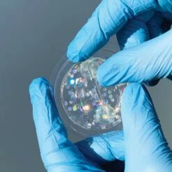 Bird-B-Gone SpectrumV Bird Repellant Gel For Assorted Species 12 Pk -Roundup Hub 036bc8fc 2eb6 46c1 acf2 1cf4482d3b31