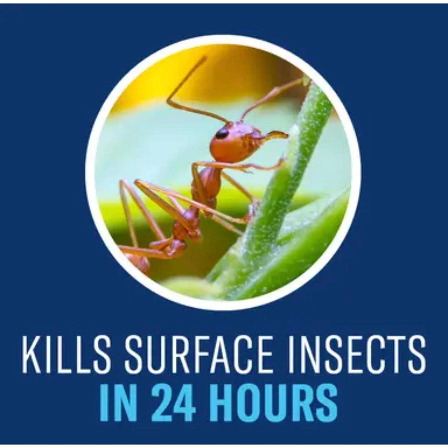 BioAdvanced Complete Insect Killer Liquid Concentrate 40 Oz 4 BioAdvanced Complete Insect Killer Liquid Concentrate 40 Oz - Image 4