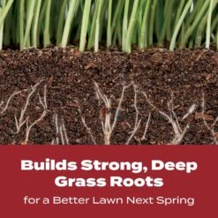 Scotts Turf Builder Winterizer Lawn Food For Multiple Grass Types 12000 Sq Ft -Roundup Hub 06bc2e46 571a 456b 9648 7a1ec7b302e1