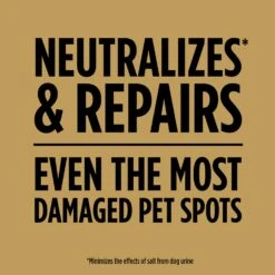 Scotts EZ Seed Mixed Sun Or Shade Pet/Dog Spot Grass Repair Seed 2 Lb -Roundup Hub 074f7747 cb78 40b1 8fa4 06043df6073e