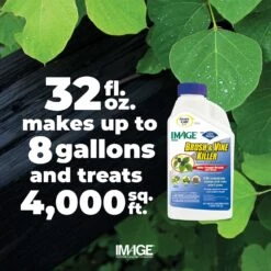 Lilly Miller Image Brush And Vine Killer Concentrate 1 Qt 7 Lilly Miller Image Brush And Vine Killer Concentrate 1 Qt -Roundup Hub 0918d63e 3d44 4baf b237 e62a0bf214a3