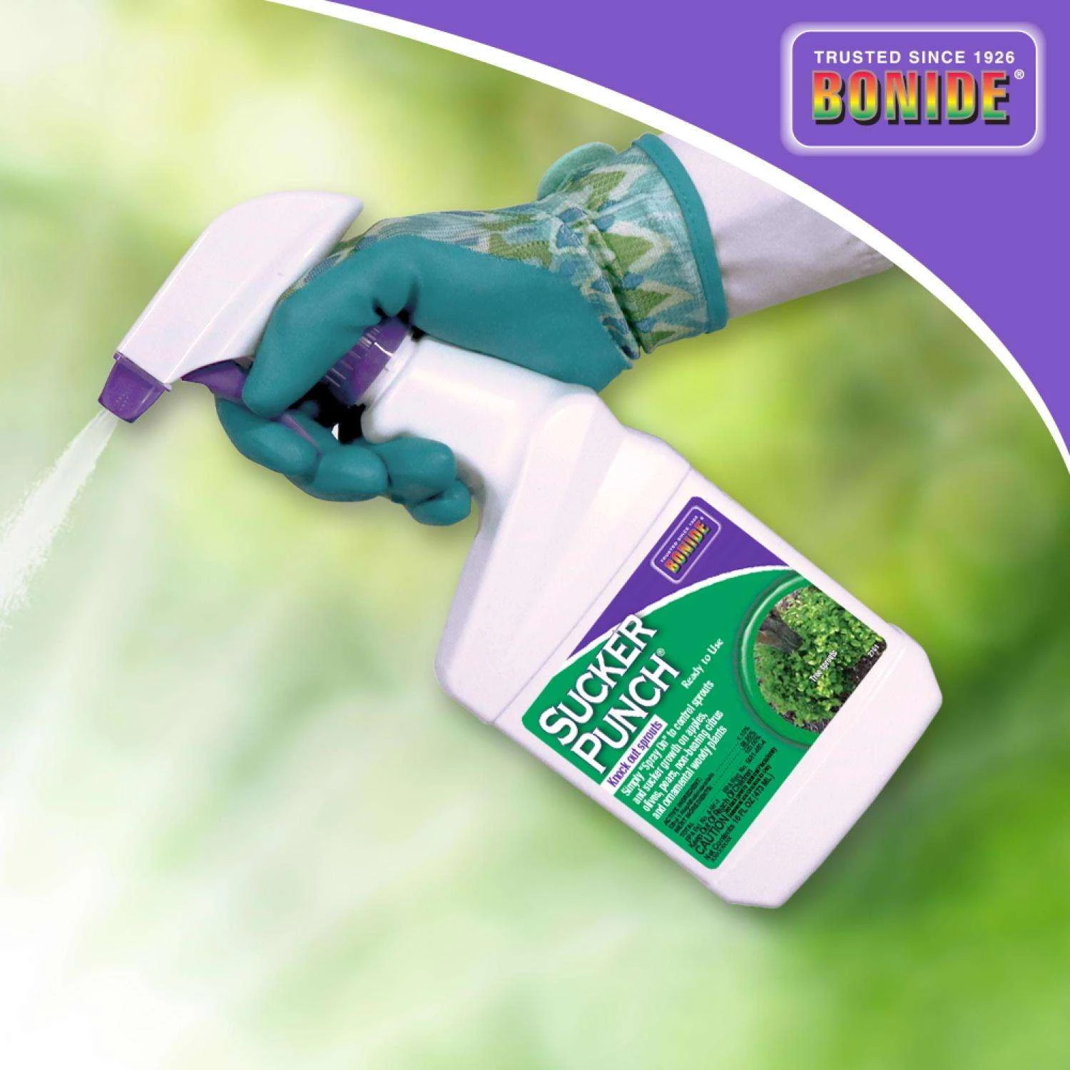 Bonide Sucker Punch Tree Roots Killer RTU Liquid 16 Oz 2 Bonide Sucker Punch Tree Roots Killer RTU Liquid 16 Oz - Image 2