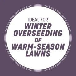 Pennington Annual Ryegrass Sun Or Shade Grass Seed 25 Lb 13 Pennington Annual Ryegrass Sun Or Shade Grass Seed 25 Lb -Roundup Hub 0a469f72 7b46 4150 a6c7 90be34c1bcab