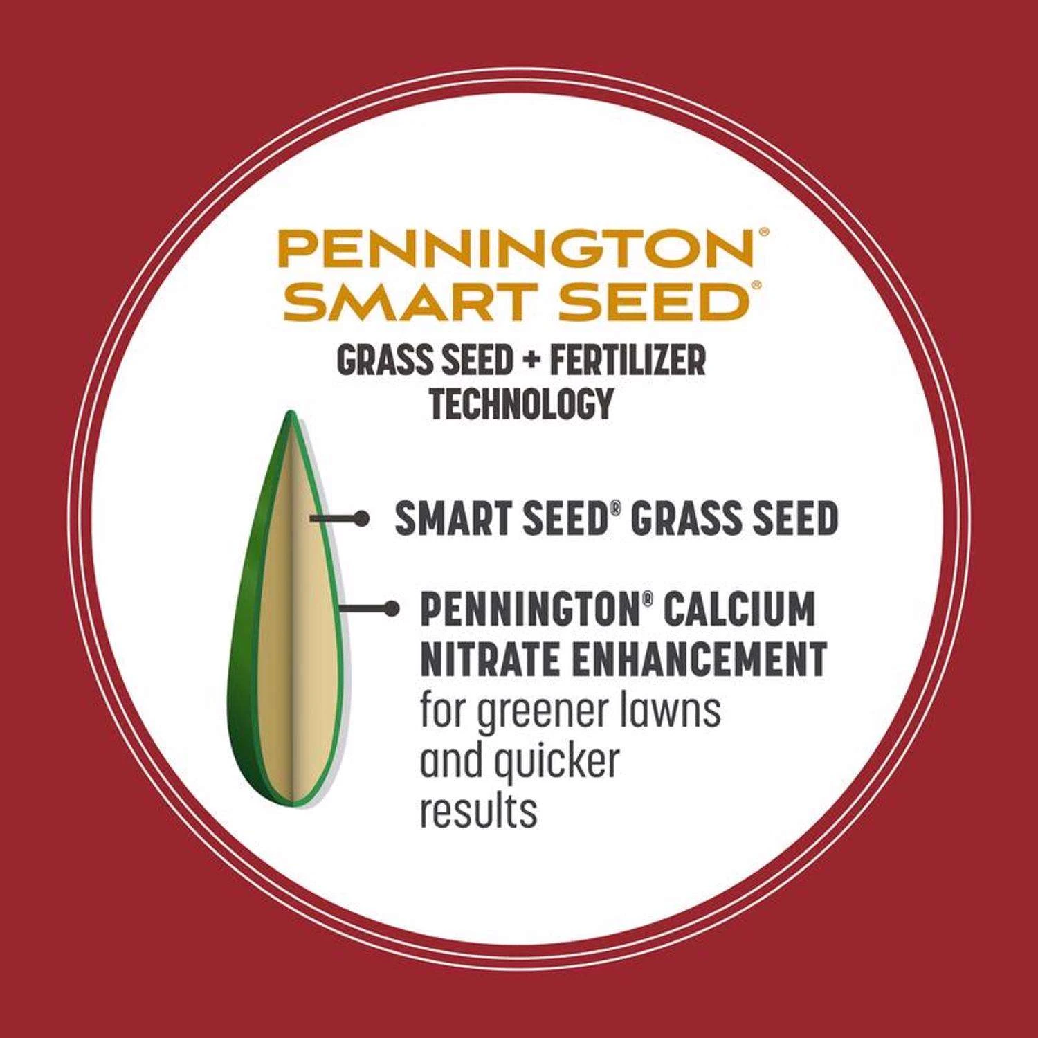 Pennington Smart Seed Perennial Ryegrass Sun Or Shade Grass Seed And Fertilizer 3 Lb 4 Pennington Smart Seed Perennial Ryegrass Sun Or Shade Grass Seed And Fertilizer 3 Lb - Image 4
