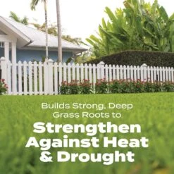 Scotts Turf Builder Bonus S Weed & Feed Lawn Fertilizer For Multiple Grass Types 10000 Sq Ft 16 Scotts Turf Builder Bonus S Weed & Feed Lawn Fertilizer For Multiple Grass Types 10000 Sq Ft -Roundup Hub 0cc44364 64ee 4091 b0ba 30ddc9edea87