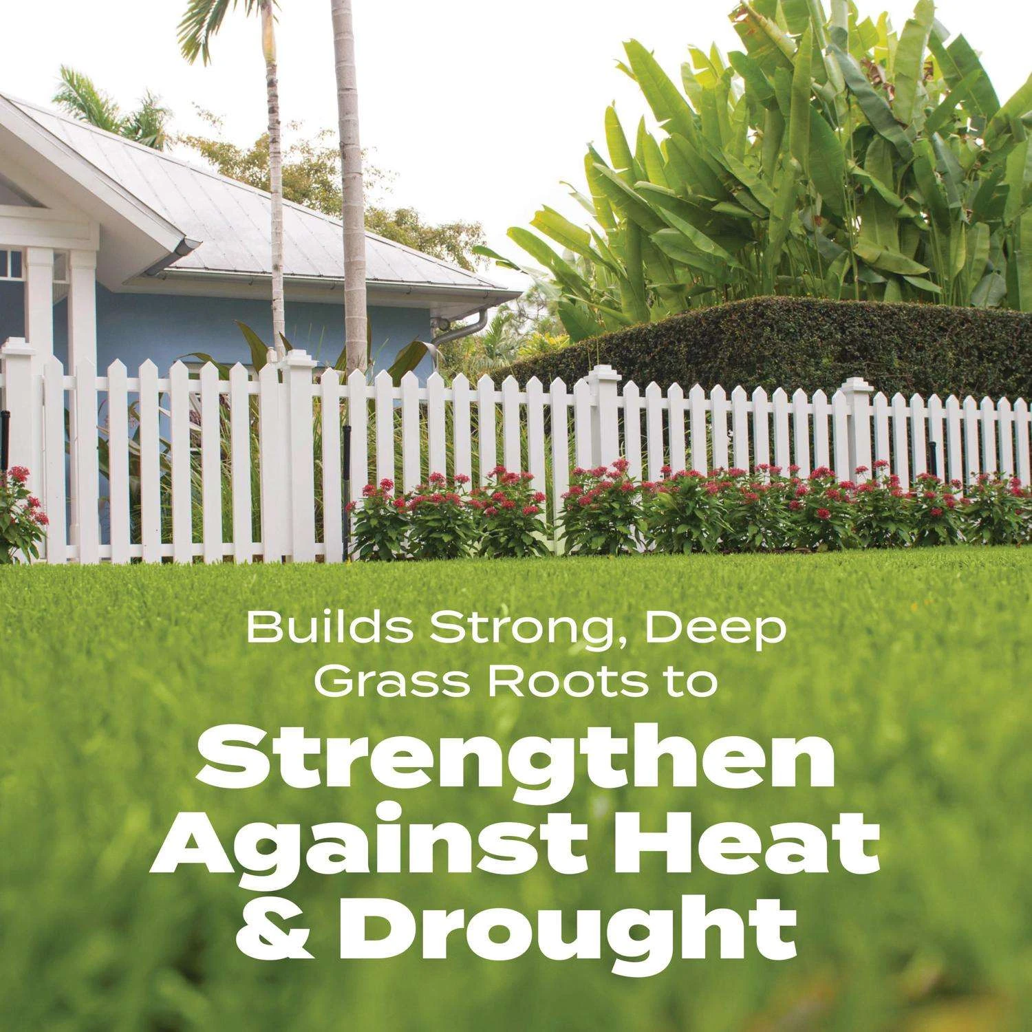 Scotts Turf Builder Bonus S Weed & Feed Lawn Fertilizer For Multiple Grass Types 10000 Sq Ft 7 Scotts Turf Builder Bonus S Weed & Feed Lawn Fertilizer For Multiple Grass Types 10000 Sq Ft - Image 7