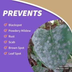 Bonide Tomato & Vegetable 3 In 1 Organic 3 In 1 Garden Insect Spray Liquid 32 Oz 13 Bonide Tomato & Vegetable 3 In 1 Organic 3 In 1 Garden Insect Spray Liquid 32 Oz -Roundup Hub 0ce31cd7 0bbe 4fb2 82b7 5231cd87afda