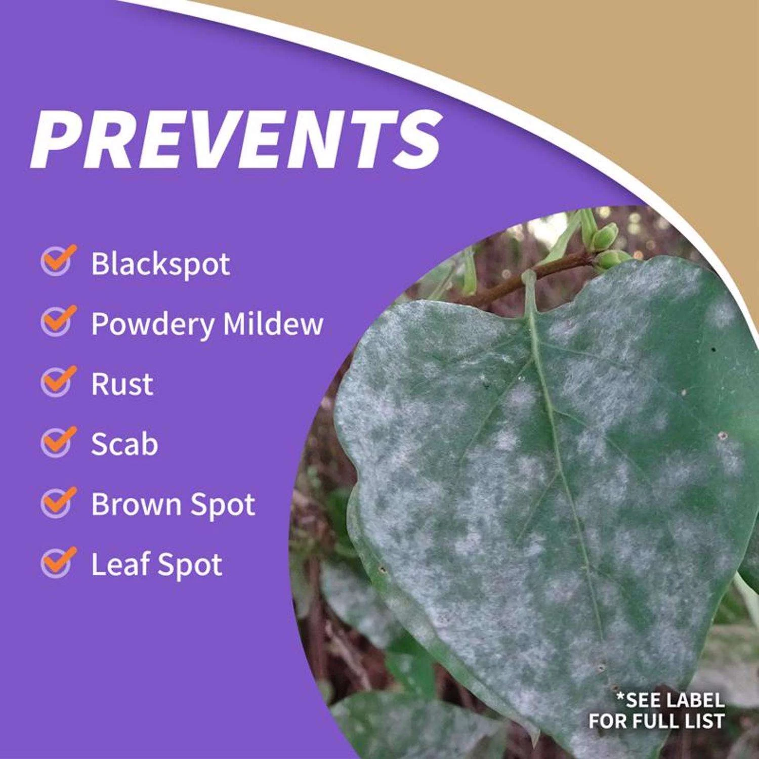 Bonide Tomato & Vegetable 3 In 1 Organic 3 In 1 Garden Insect Spray Liquid 32 Oz 6 Bonide Tomato & Vegetable 3 In 1 Organic 3 In 1 Garden Insect Spray Liquid 32 Oz - Image 6