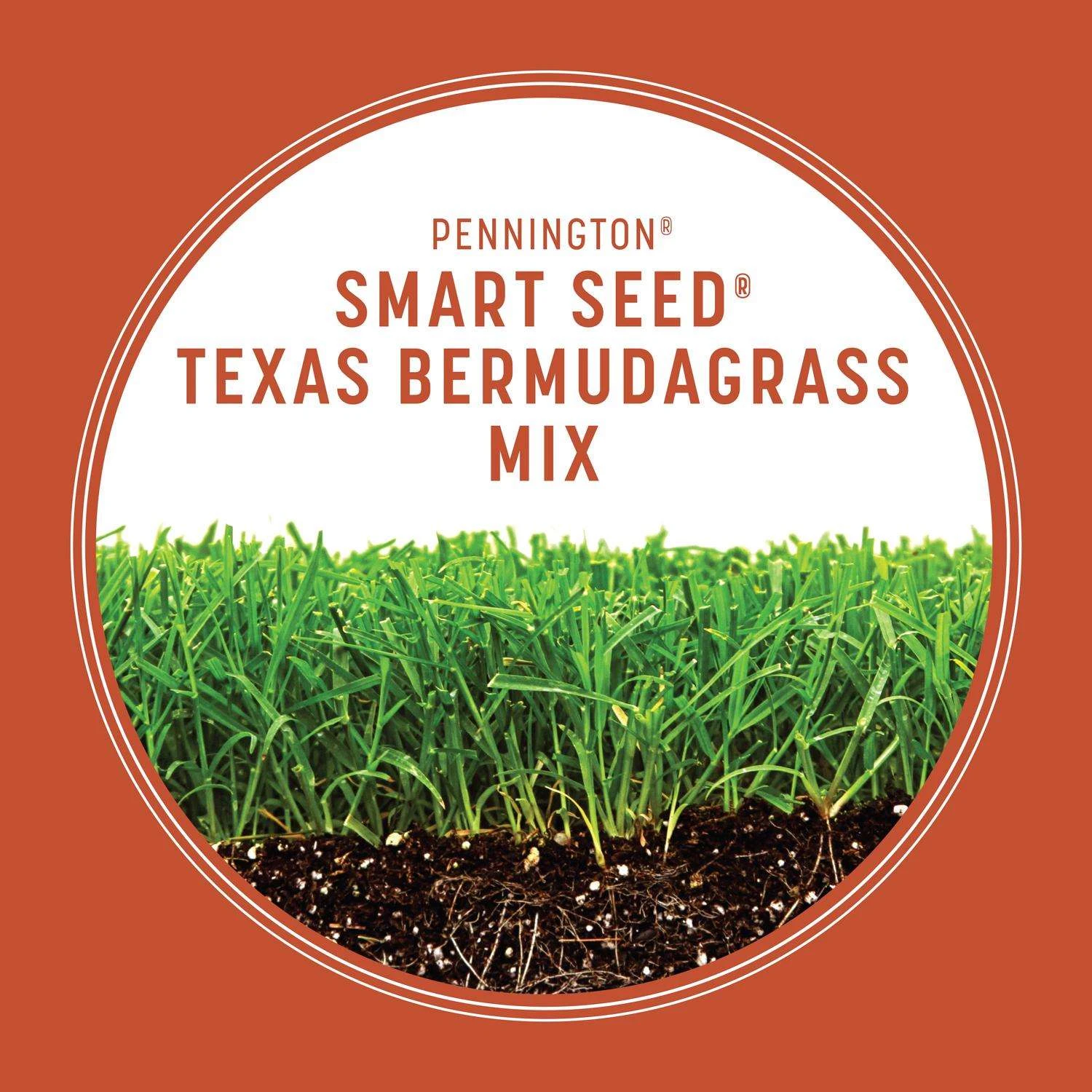 Pennington Smart Seed Texas Bermuda Full Sun Grass Seed And Fertilizer 8.75 Lb 4 Pennington Smart Seed Texas Bermuda Full Sun Grass Seed And Fertilizer 8.75 Lb - Image 4