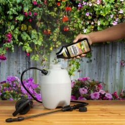 Spectracide Immunox Concentrated Liquid Garden Fungicide 16 Oz -Roundup Hub 0f3090d9 8d78 452b abe1 cd790b549638