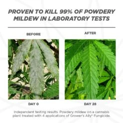 Grower's Ally Organic Liquid Fungicide 24 Oz -Roundup Hub 0f55c955 c68b 43a6 8894 3577fd42f3c8