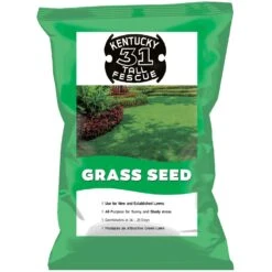 Jonathan Green Kentucky 31 Tall Fescue Grass Sun Or Shade Grass Seed 25 Lb