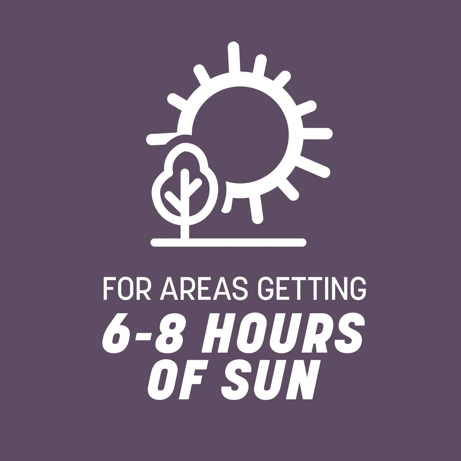 Pennington Annual Ryegrass Sun Or Shade Grass Seed 10 Lb 6 Pennington Annual Ryegrass Sun Or Shade Grass Seed 10 Lb - Image 6