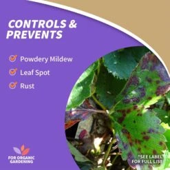 Bonide Sulfur Organic Concentrated Dust Fungicide 4 Lb -Roundup Hub 12164408 ec07 4f44 969b bf3ef38cc43b