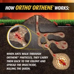 Ortho Orthene Fire Ant Killer Powder 12 Oz -Roundup Hub 14039cd9 511d 4967 82a3 121fea8329bf