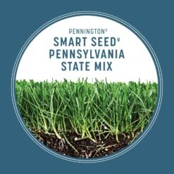 Pennington Smart Seed Pennsylvania State Mixed Sun Or Shade Grass Seed And Fertilizer 3 Lb 12 Pennington Smart Seed Pennsylvania State Mixed Sun Or Shade Grass Seed And Fertilizer 3 Lb -Roundup Hub 1841effb a016 48cc b9ac be766200ee90