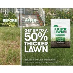 Scotts Turf Builder ThickR Lawn All-Purpose Lawn Fertilizer For Tall Fescue Grass 4000 Sq Ft -Roundup Hub 19585a72 e4fe 47ed 8dc5 e6274a7a6d2c