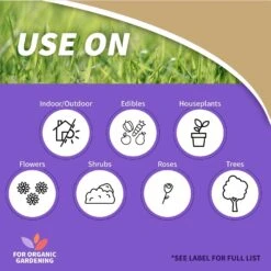 Bonide Rose Rx Organic Concentrated Liquid Disease Control 16 Oz -Roundup Hub 1a4caeb1 1c66 4336 a25d 9c362650caa8