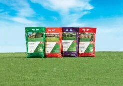 Ace 4 Step Annual Program Lawn Fertilizer For All Grasses 5000 Sq Ft -Roundup Hub 1ad67ab7 ef82 4bb6 a9c3 479a450cb52e