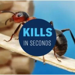 BioAdvanced Home Pest Control Insect Killer Liquid 1 Gal -Roundup Hub 1b2b5bb8 1f4b 436e a7e2 81b99c3f0051