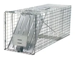 Havahart Large Live Catch Cage Trap For Cats And Raccoons 1 Pk