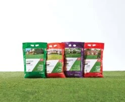 Ace 4 Step Annual Program Lawn Fertilizer For All Grasses 5000 Sq Ft -Roundup Hub 1ccbfd43 6b8b 406f 97a2 003169c606ab