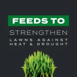 Scotts Turf Builder Southern Triple Action Weed & Feed Lawn Fertilizer For All Grasses 8000 Sq Ft -Roundup Hub 1d17da1f e88c 41ee 8755 884d3a02b667