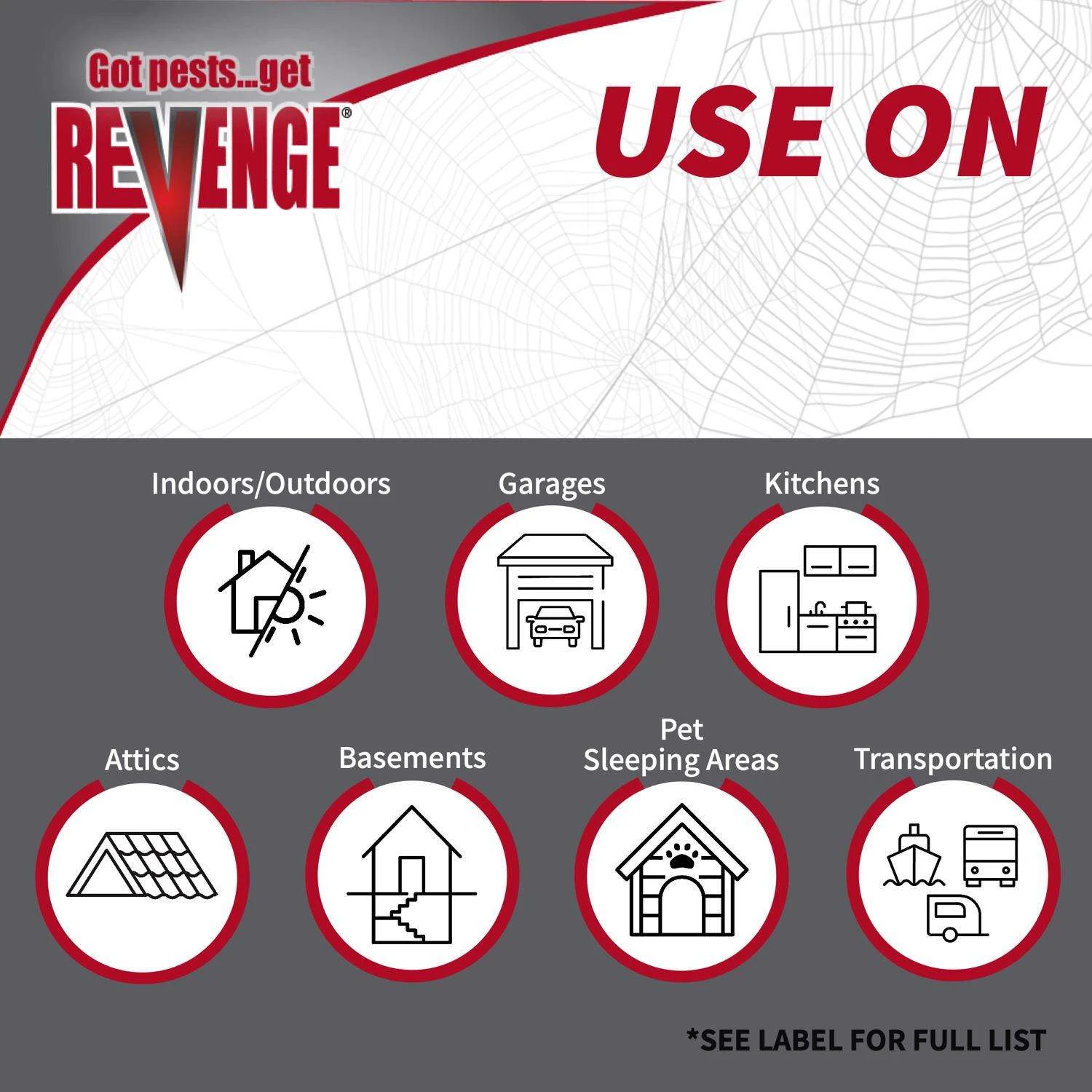 Bonide Spider Insect Killer Liquid 128 Oz 4 Bonide Spider Insect Killer Liquid 128 Oz - Image 4