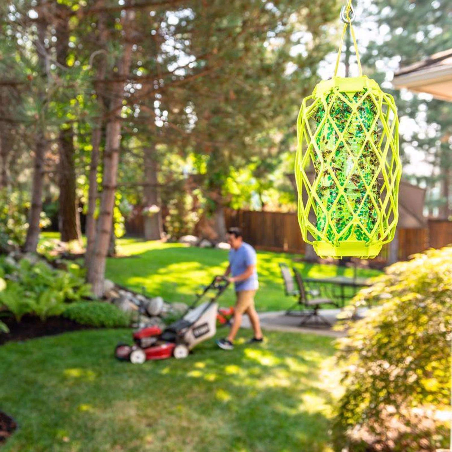 RESCUE TrapStik Insect Trap 1 Pk 5 RESCUE TrapStik Insect Trap 1 Pk - Image 5