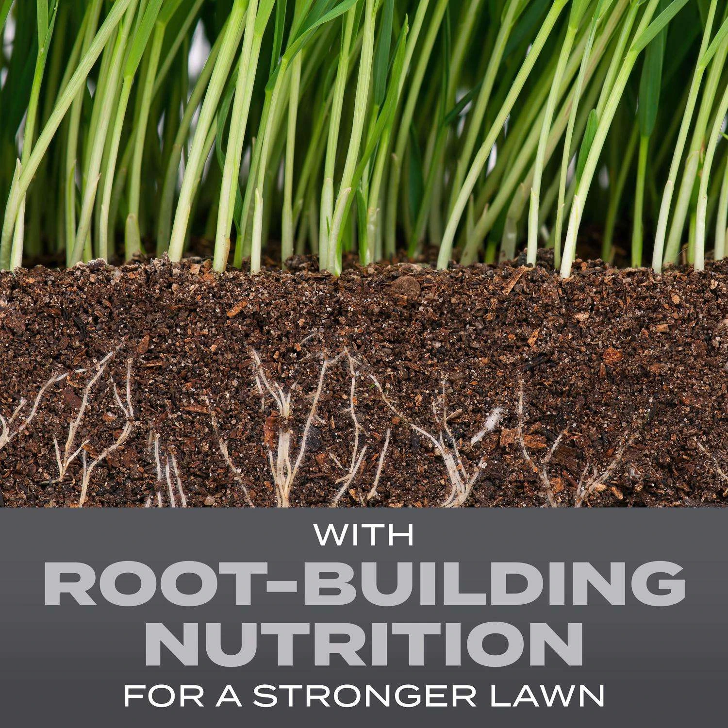 Scotts Turf Builder Pennsylvania Sun Or Shade Fertilizer/Seed/Soil Improver 5.6 Lb 2 Scotts Turf Builder Pennsylvania Sun Or Shade Fertilizer/Seed/Soil Improver 5.6 Lb - Image 2