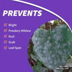 Bonide Infuse Killer RTS Hose-End Concentrate 32 Oz -Roundup Hub 1fc662b3 52a6 41d2 9170 b3c965325143