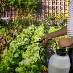 Spectracide Insect Killer Concentrate 32 Oz 6 Spectracide Insect Killer Concentrate 32 Oz -Roundup Hub 202c98b3 edf1 487e 8ad4 079871592ee6