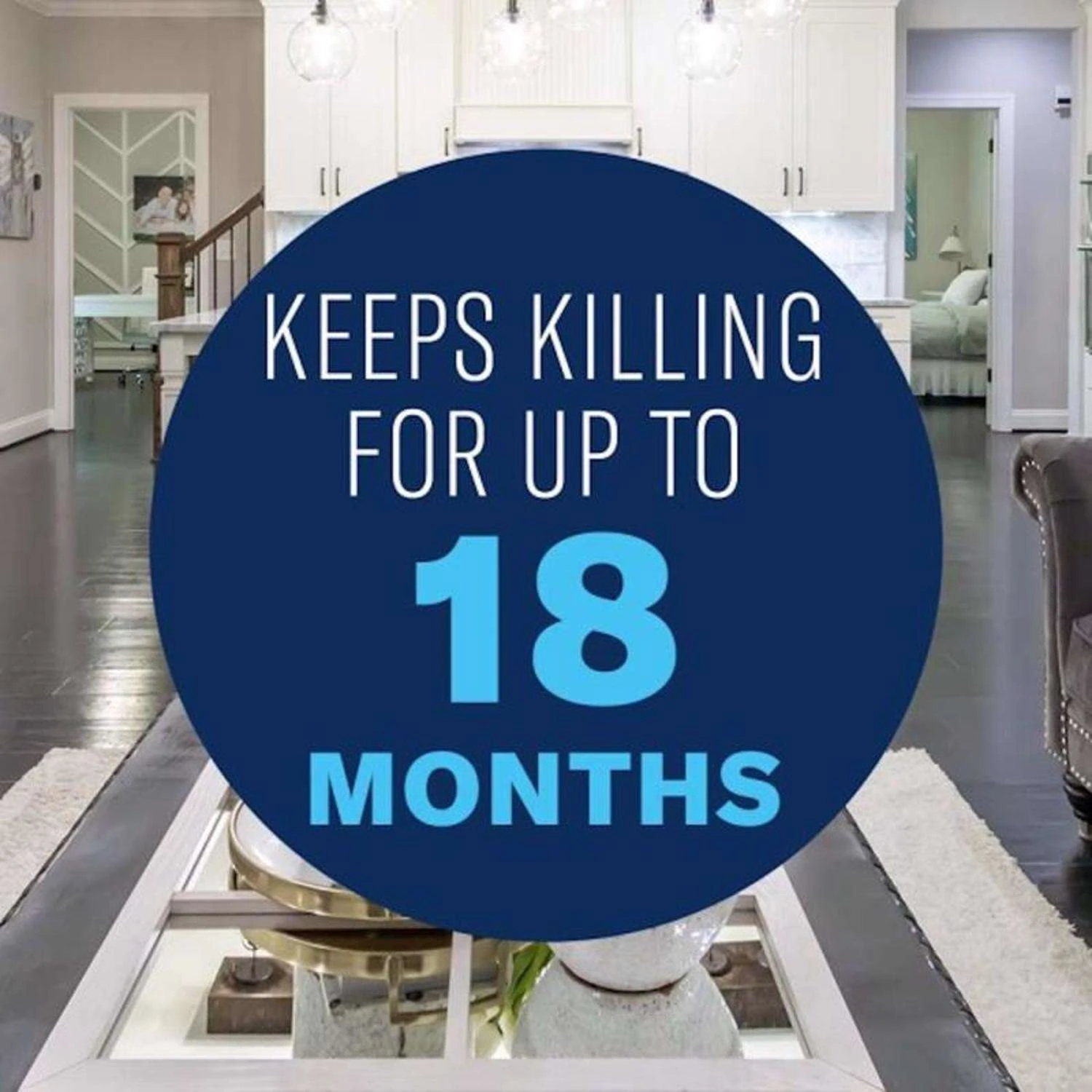 BioAdvanced Insect Killer Liquid 1.3 Gal 5 BioAdvanced Insect Killer Liquid 1.3 Gal - Image 5