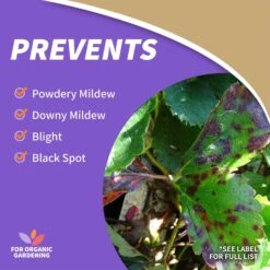 Bonide Organic Liquid Fungicide 32 Oz -Roundup Hub 21926f0b d5ee 418c aaca bbef36e924b3