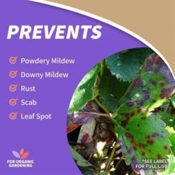 Bonide Captain Jacks Organic Insect Killer Liquid Concentrate 16 Oz 14 Bonide Captain Jacks Organic Insect Killer Liquid Concentrate 16 Oz -Roundup Hub 240c9e7a 56cc 4c18 8805 faded758f560