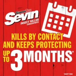 GardenTech Sevin Insect Killer Liquid 1 Pt 7 GardenTech Sevin Insect Killer Liquid 1 Pt -Roundup Hub 240f99ed 5cac 4adf bde1 dd8c76ffc24f