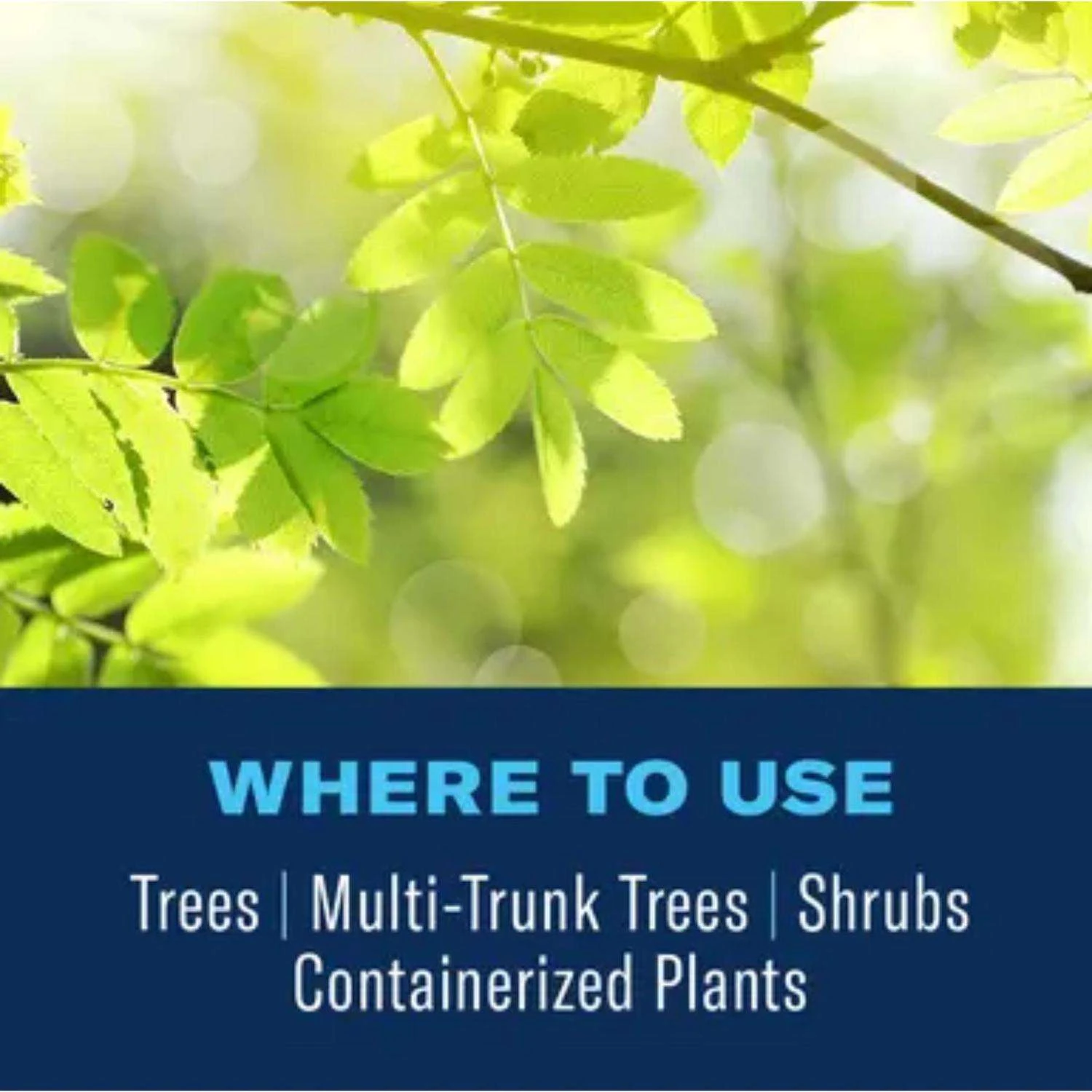 BioAdvanced Insect Control With Fertilizer Liquid Concentrate 32 Oz 5 BioAdvanced Insect Control With Fertilizer Liquid Concentrate 32 Oz - Image 5