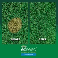 Scotts EZ Seed Mixed Sun Or Shade Pet/Dog Spot Grass Repair Seed 2 Lb -Roundup Hub 259fac7b d89d 44bd b008 50f6bc546fb6