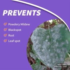 Bonide Rose Shield 3 In 1 Garden Insect Spray Liquid 1 Gal 13 Bonide Rose Shield 3 In 1 Garden Insect Spray Liquid 1 Gal -Roundup Hub 27416de6 58ac 4b0e b614 8853d0e4bf6d