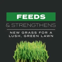 Scotts Turf Builder Pre Emergent Preventer & Fertilizer Lawn Fertilizer For All Grasses 4000 Sq Ft -Roundup Hub 2885372d a65b 4a68 8c09 011c2778cfb6