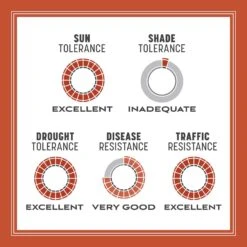 Pennington Bermuda Grass Full Sun Grass Seed 15 Lb -Roundup Hub 2c3342d6 f170 46a5 8561 617dd40a7df3