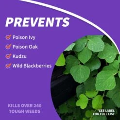 Bonide Brush Killer Concentrate 32 Oz -Roundup Hub 2cec394b a015 433d a403 aceee072ea8d