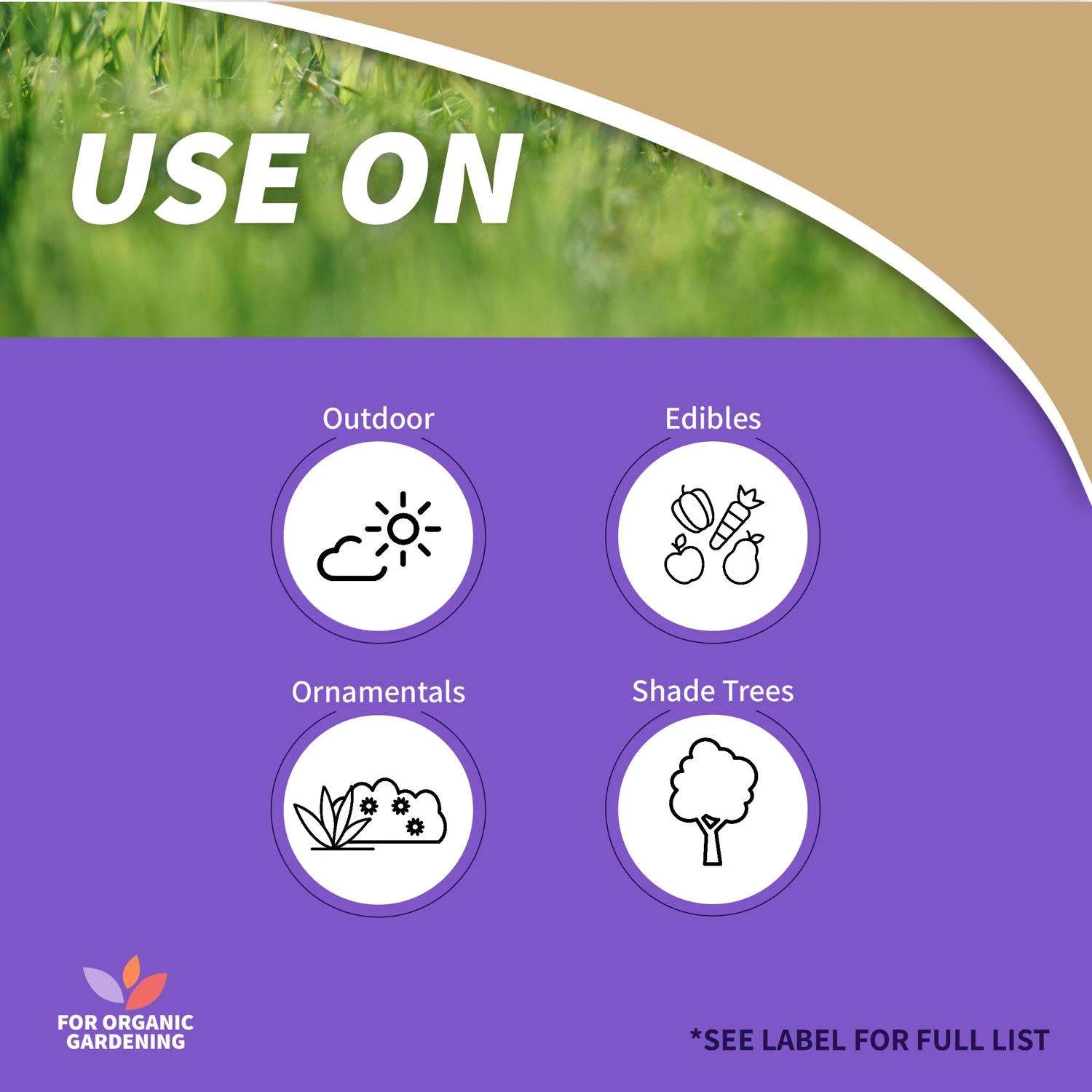 Bonide BT Thuricide Spray Organic Caterpillar Killer Liquid 32 Oz 3 Bonide BT Thuricide Spray Organic Caterpillar Killer Liquid 32 Oz - Image 3