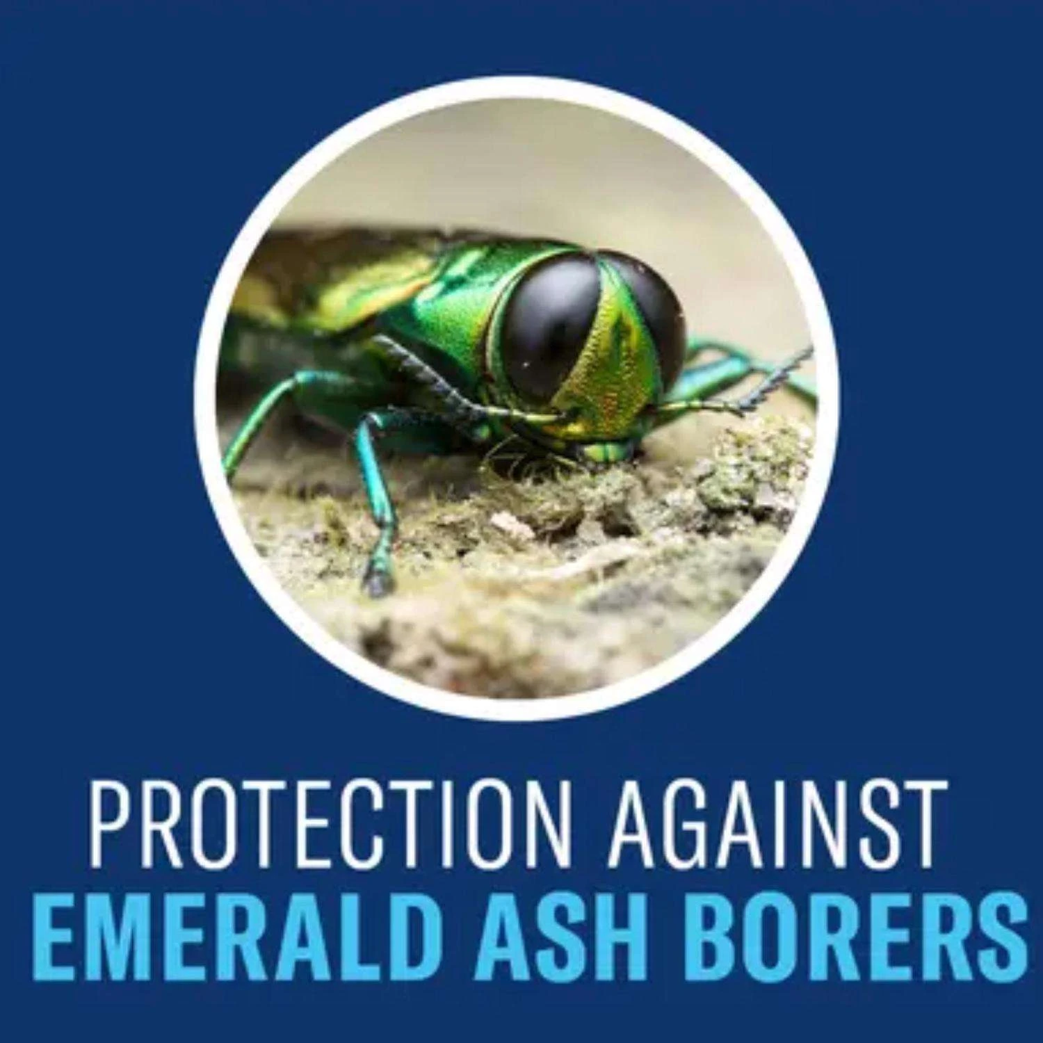 BioAdvanced Insect Control With Fertilizer Liquid Concentrate 32 Oz 3 BioAdvanced Insect Control With Fertilizer Liquid Concentrate 32 Oz - Image 3