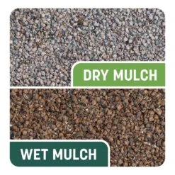 Pennington Smart Patch Tall Fescue Grass Sun Or Shade Seed/Fertilizer/Mulch Repair Kit 10 Lb 15 Pennington Smart Patch Tall Fescue Grass Sun Or Shade Seed/Fertilizer/Mulch Repair Kit 10 Lb -Roundup Hub 2e7ea4f0 f044 4cee b193 7e34eeacbfbb