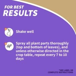 Bonide Concentrated Liquid Disease And Fungicide Control 16 Oz -Roundup Hub 2fbb98cf 368a 4479 98dc c0fa4178595c