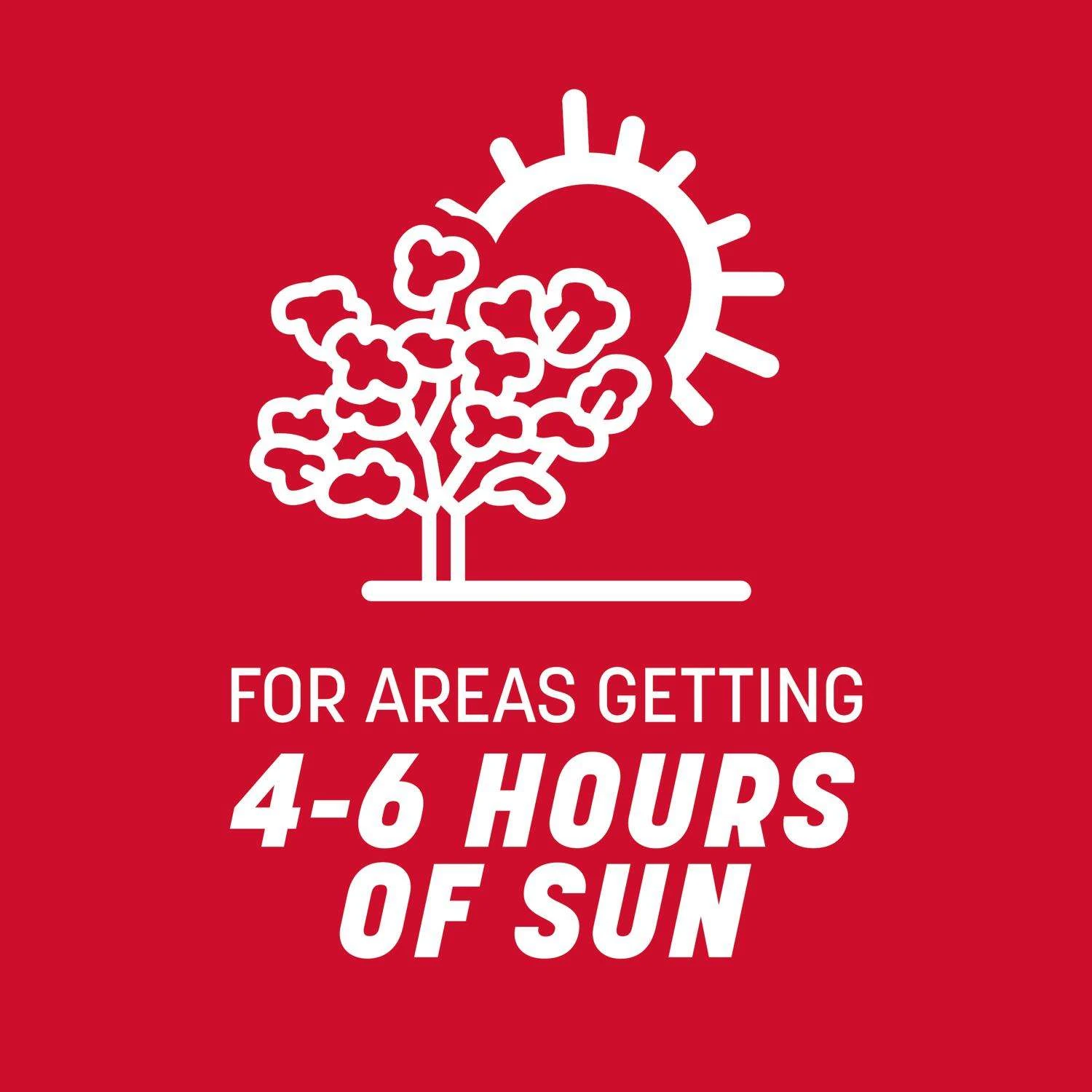 Pennington The Rebels Tall Fescue Grass Sun Or Shade Grass Seed 7 Lb 6 Pennington The Rebels Tall Fescue Grass Sun Or Shade Grass Seed 7 Lb - Image 6