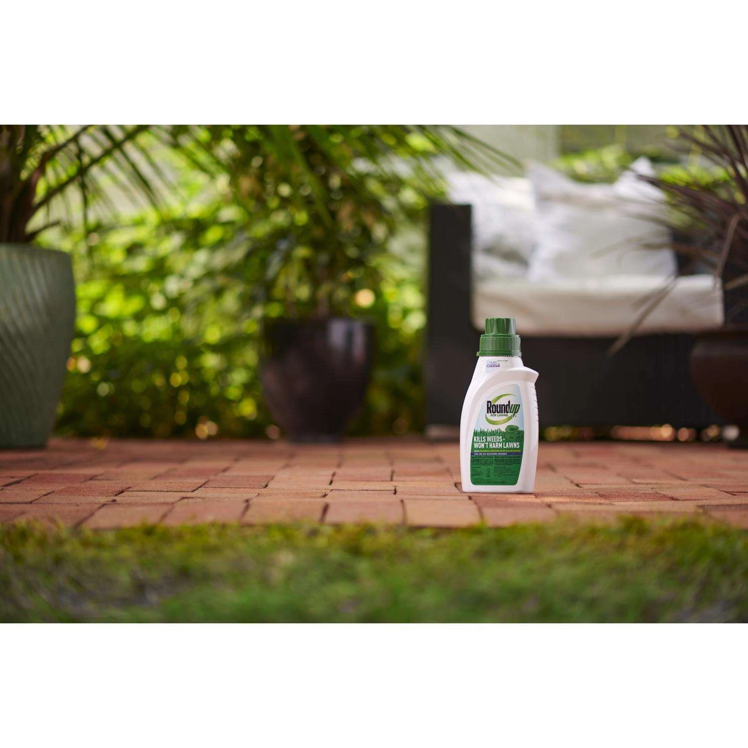 Roundup For Lawns5 Weed Killer Concentrate 32 Oz 8 Roundup For Lawns5 Weed Killer Concentrate 32 Oz - Image 8