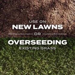 Scotts Turf Builder Rapid Grass Tall Fescue Grass Sun Or Shade Grass Seed And Fertilizer 16 Lb -Roundup Hub 3581bfe5 ed2c 4975 9ce3 0ce4ac08634d