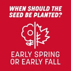 Pennington The Rebels Tall Fescue Grass Sun Or Shade Grass Seed 20 Lb -Roundup Hub 35e6792c 8919 485d b9ea a524982fb11d